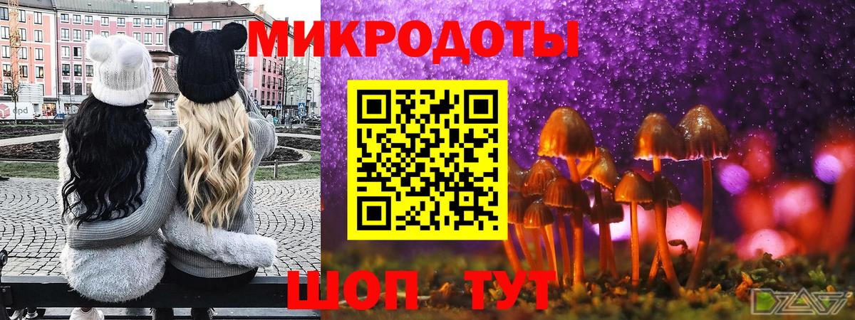 Псилоцибиновые грибы Psilocybine cubensis Бердск