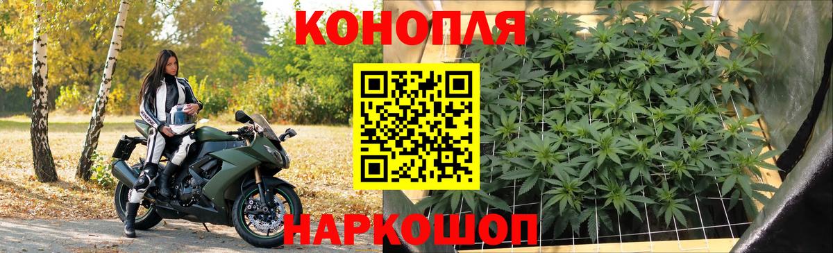 Конопля гибрид  Канабис MAZAR  Вход с VPN  Бердск 